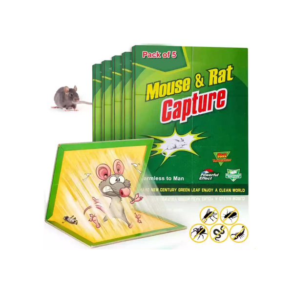 Capcane Lipicioase pentru Șoareci