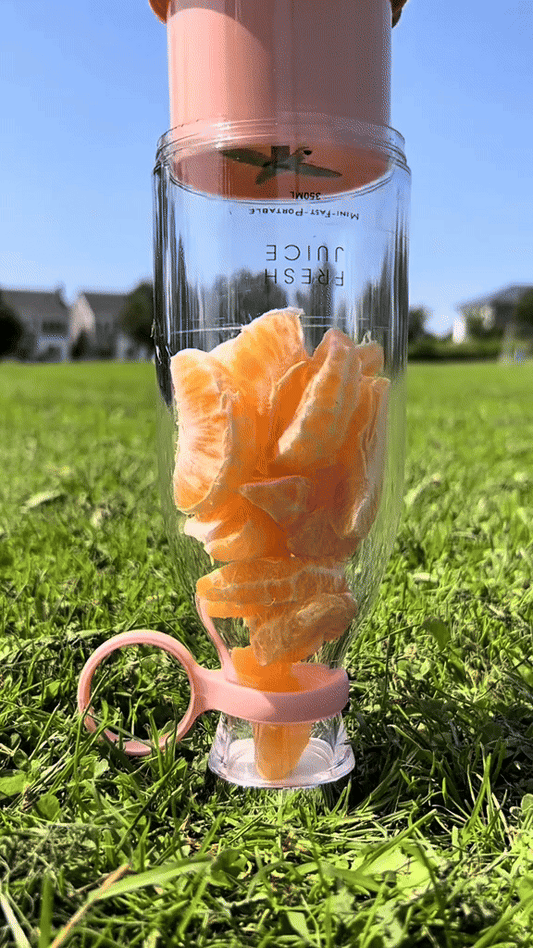 Mini Blender Portabil