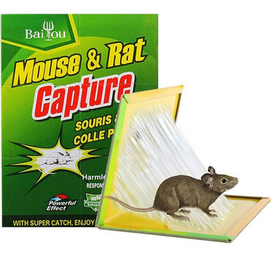 Capcane Lipicioase pentru Șoareci