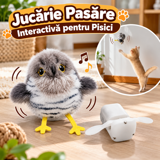 Jucarie Pasare pentru Pisici