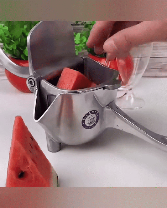 Storcător de Fructe - Manual